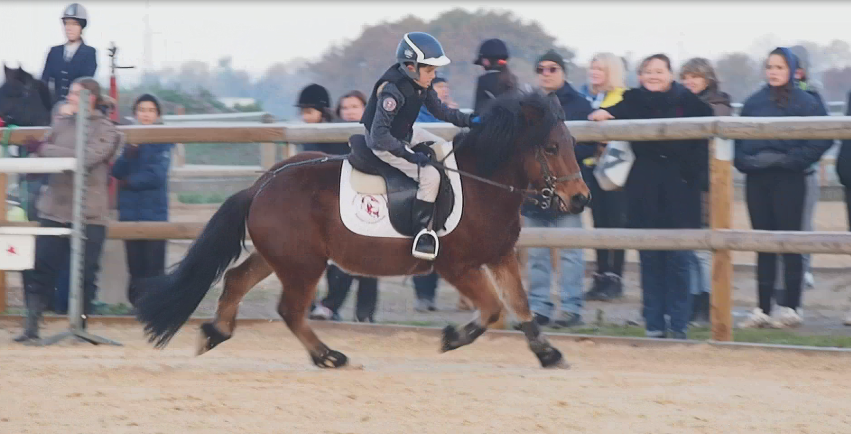 semelle laine bottes équitation