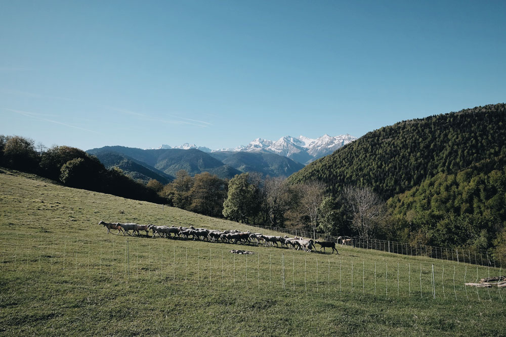 Les Pyrénées